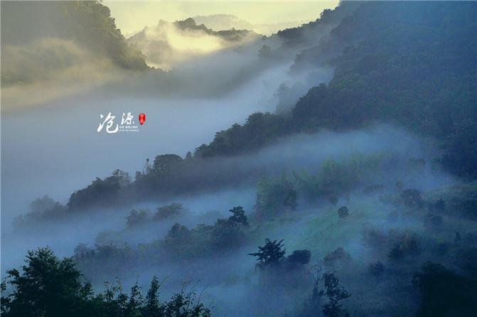 《原神》为什么闲云是风系角色，甘雨和申鹤却是冰系角色？