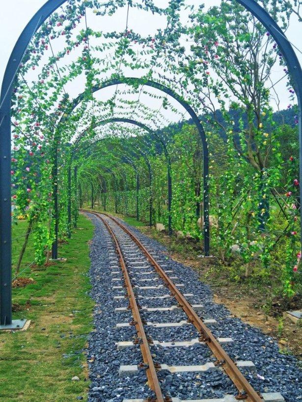 厦门实践调研｜沙滩修复的厦门方案 ：全球少见，百姓养眼！