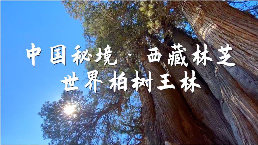 “妇女就业援助”项目 助力全职妈妈迈出就业第一步