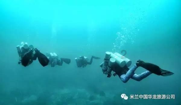 红烧米豆腐怎么做？游戏画面