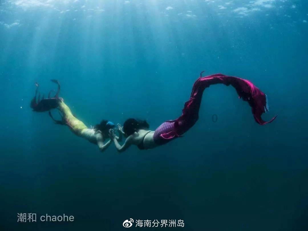 狗狗被扔在路边,淋着雨一脸无辜相,宠主:看你还敢拆家不?