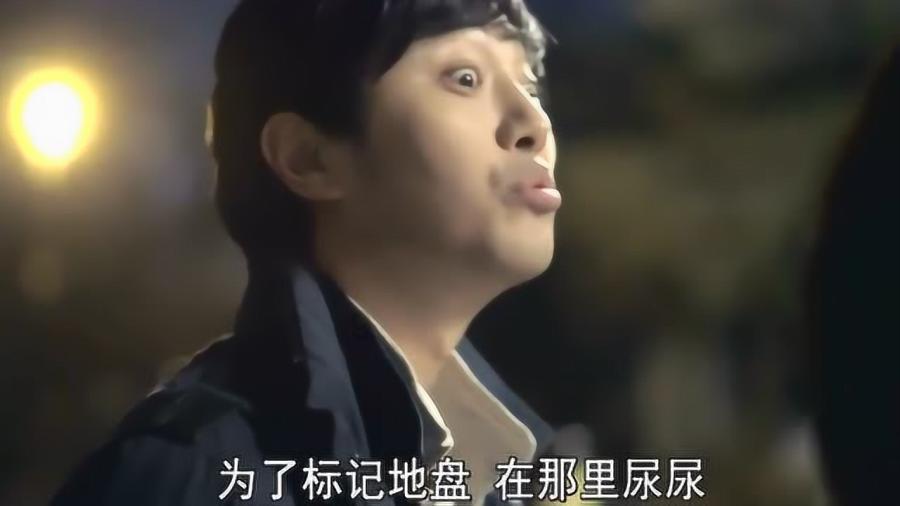 秦海璐新剧《狗剩快跑》,演技在线,但脸肿脸僵