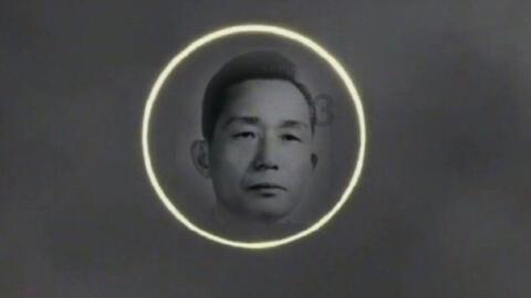行走自贸港（三），中国唯一“医疗特区”：加速全球创新药械落地