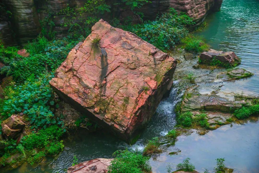 虹桥南丰城携手上影元,孙悟空、哪吒、葫芦娃“齐乐龙龙”庆新春