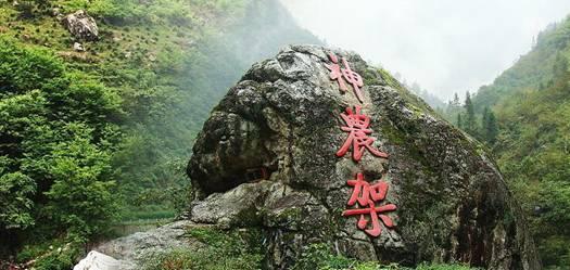 逃出足球场