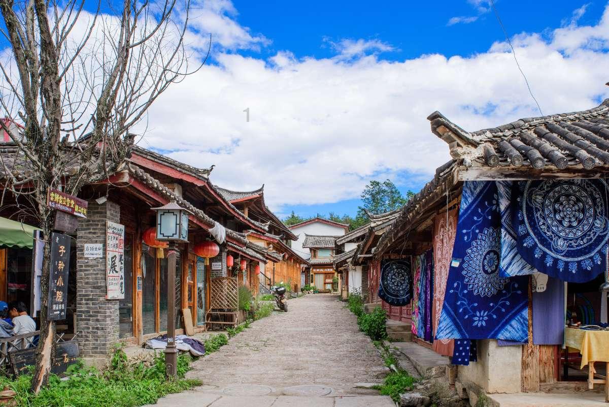 动物帮帮忙保卫家园